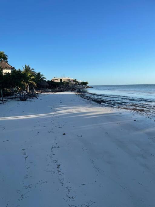 Ferienwohnung Casa Molly Isla Holbox Exterior foto